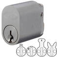 Picture oval silver coloured lock cylinder with four different shaped lock cams below picture